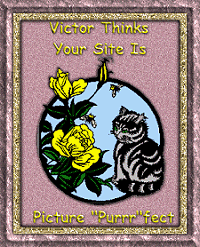 Victor's Picture *Purr*fect Award