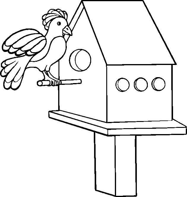 BirdHouse