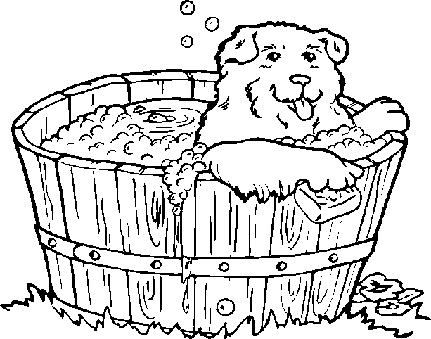 Dog Having a Bath